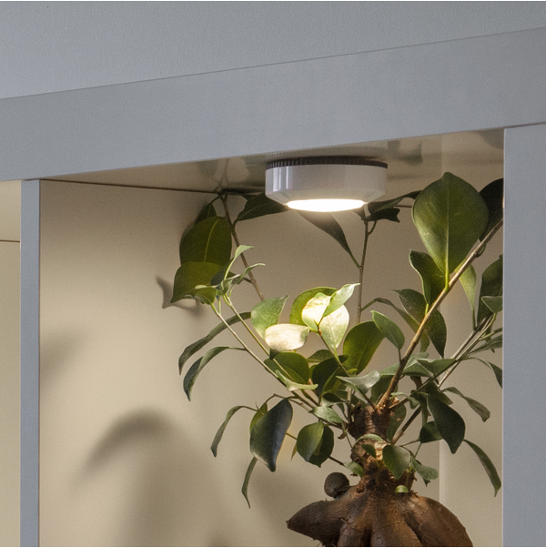 LED-lampa Functional 3-pack