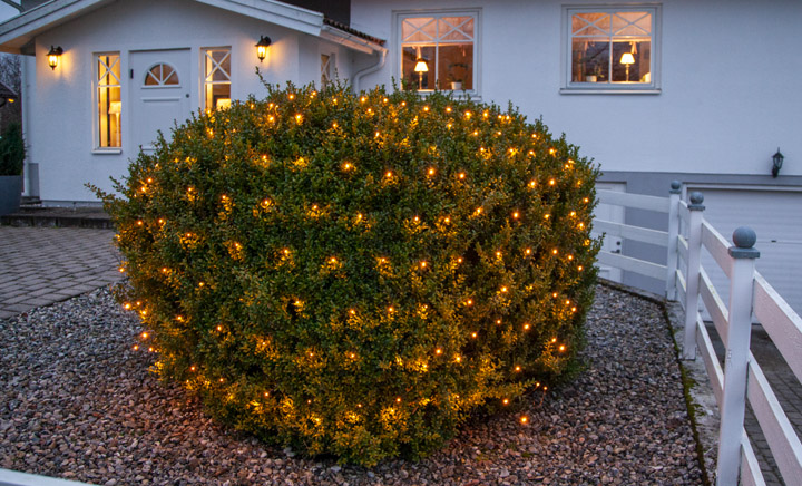Golden Warm White nät i buske.jpg