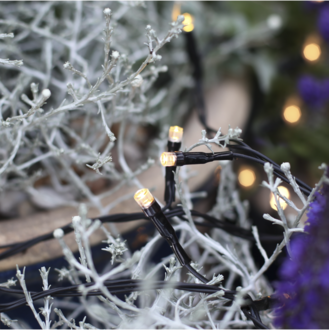 Ljusslinga Dura String LED