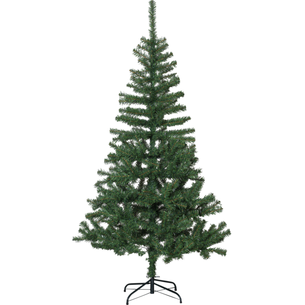 Julgran Dalbo