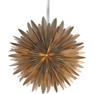 Pappersstjärna Winter