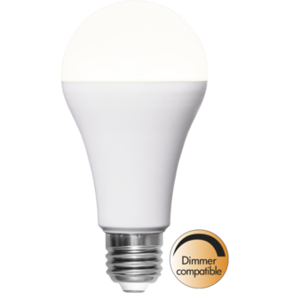 LED-lampa E27 A65 High Lumen