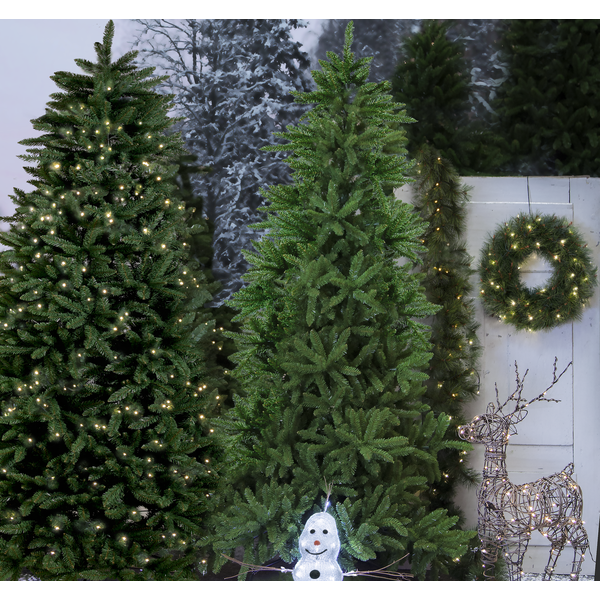 Julgran Minnesota