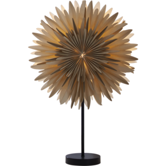 Stjärna på fot Winter