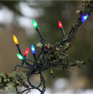 Ljusslinga P-LED Outdoor