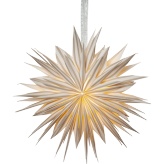 Pappersstjärna Print