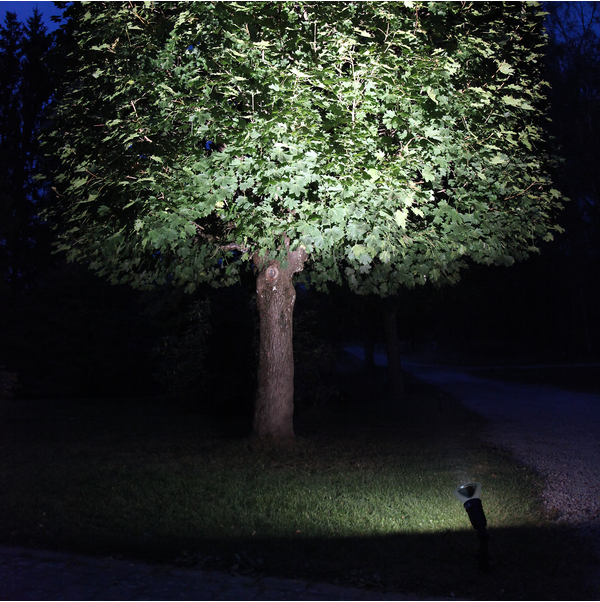 LED-lampa E27 PAR38 Spotlight Outdoor