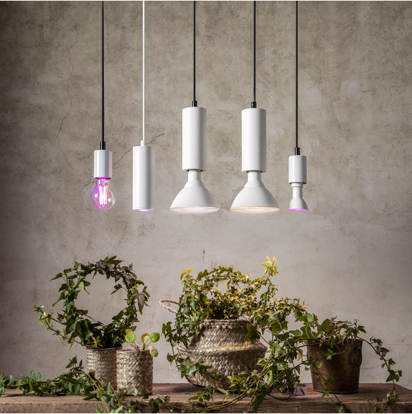 LED-lampa E14 PAR16 Plant Light