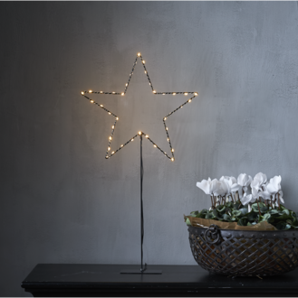 Stjärna på fot Mira