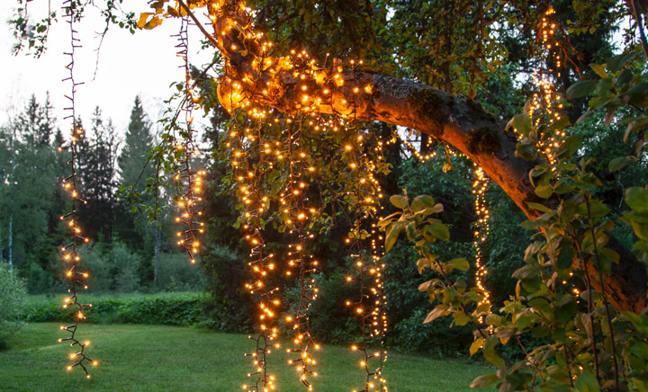 Golden Warm Whote slinga i träd.jpg