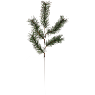 Dekorationskvist Tallis 30 p