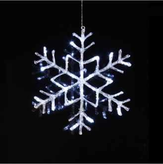 Snöflinga Antarctica