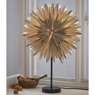 Stjärna på fot Winter