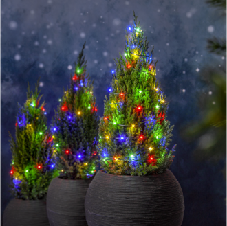 Ljusslinga Dew Drop Micro