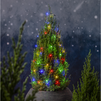 Ljusslinga Dew Drop Micro