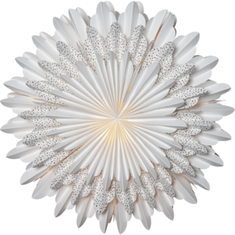 Pappersstjärna Snow