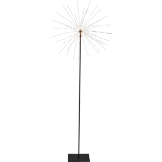 Stjärna på fot Firework®