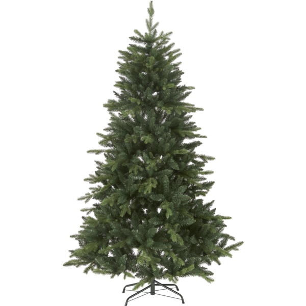 Julgran Bergen
