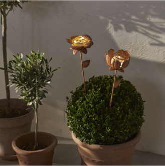 Solcellsdekoration Oxida Flower 2 p