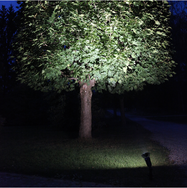 LED-lampa E27 PAR38 Spotlight Outdoor