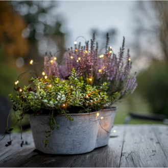 Ljusslinga Dew Drop Outdoor