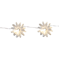 726-41_FL_001.png
