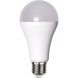 LED-lampa E27 A65 High Lumen