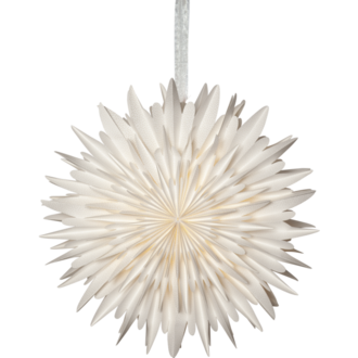 Pappersstjärna Winter