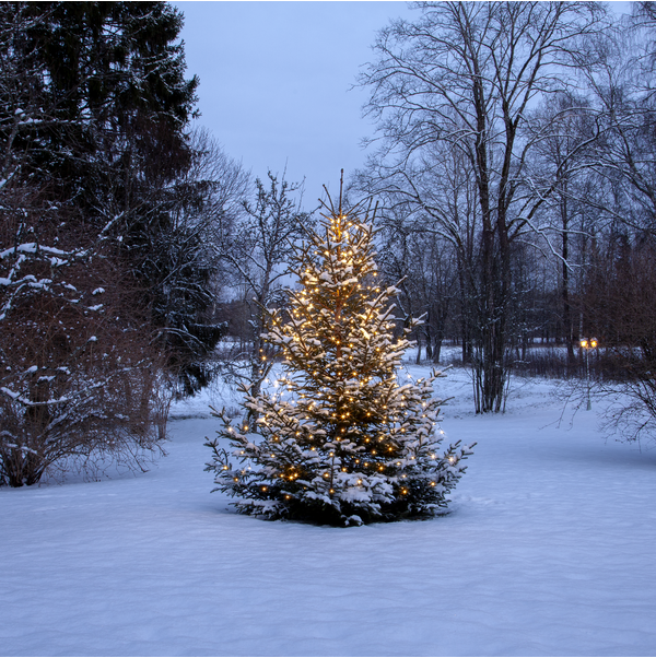 Julgransslinga Shiny Warm White