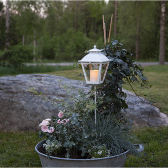 LED Gravljus Serene
