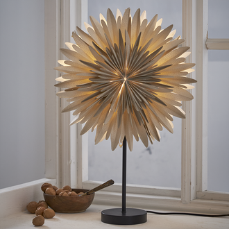 Stjärna på fot Winter