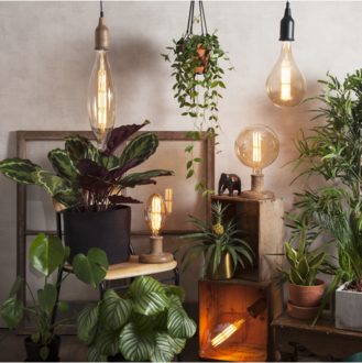 LED-lampa E27 A165 Industrial Vintage
