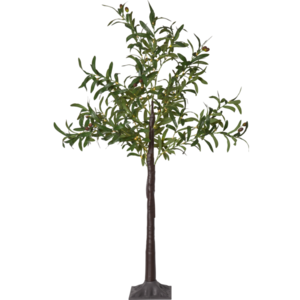 Dekorationsträd Olivec