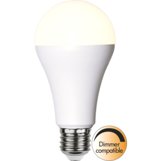 LED-lampa E27 A65 High Lumen