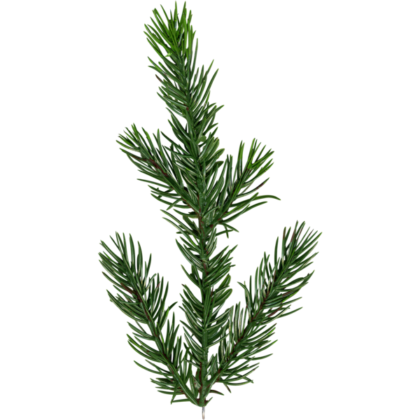 Julgran Malung