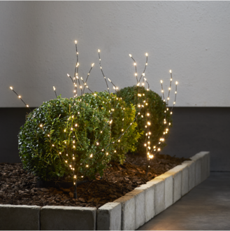 Dekorationskvist Reedy