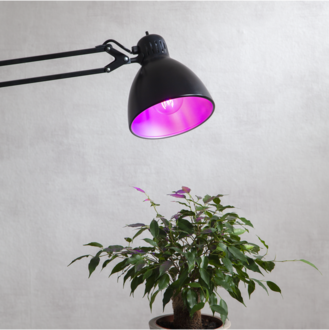 LED-lampa E27 A60 Plant Light