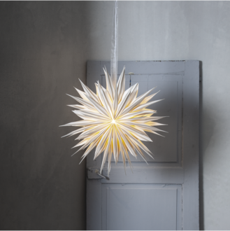 Pappersstjärna Print