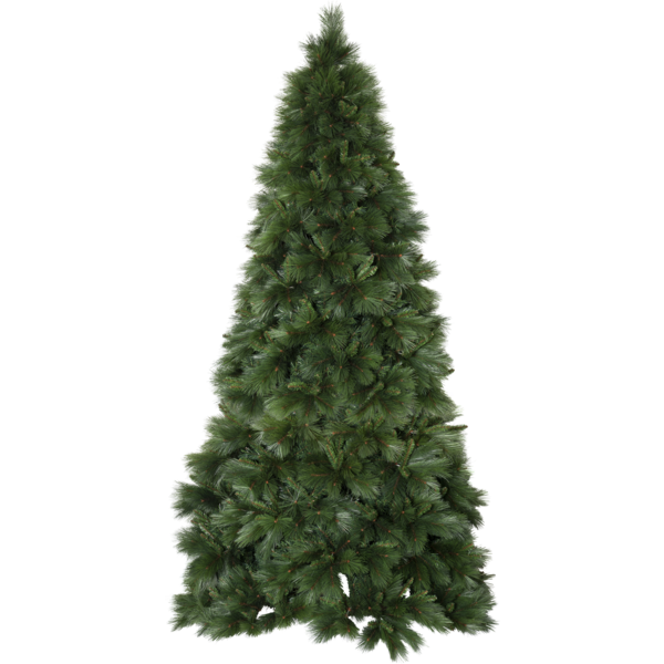 Julgran Cembra