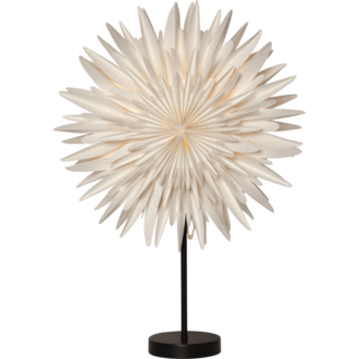 Stjärna på fot Winter