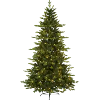 608-65_FL_001.png