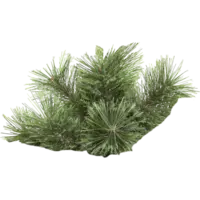 610-30_FL_003.png