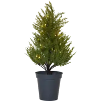 600-25_FL_001.png