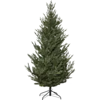 606-01_FL_001.png