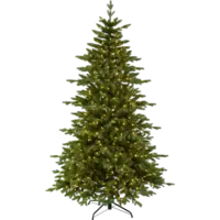 608-66_FL_001.png