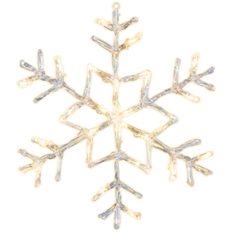 Snöflinga Antarctica