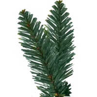 606-10_FL_002.png