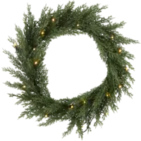 612-76_FL_002.png