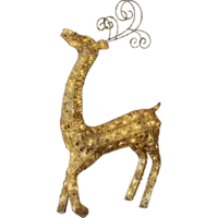 803-10_FL_001.png