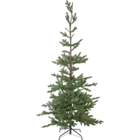 606-39_FL_001.png